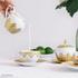 Bernardaud Venise - Picture4