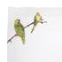 Porthault Jungle Birds table linen - Picture4