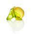 Daum Decorative lemons - Picture4
