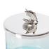 Greggio Starfish glass jar