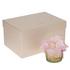 Daum Roses candle holder