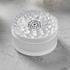 Lalique Box Dahlia - Bild4