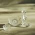 Lalique Anemone sculpture, clear - Picture4