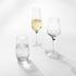 Moser Jewel Platinum glasses - Picture4