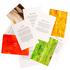 Jean Lenoir Le Nez du Vin: 12 wine aromas new oak - Picture4