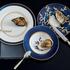 Raynaud Cristobal Marine - Bild5