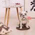 Lladró Bulldog with Lollipop sculpture - Picture5