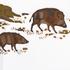 Eri Textiles Leinentischwäsche Wildschwein - Bild5