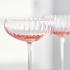 Venini Bollicine Champagne coupes, set of 2