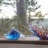 Daum Mer de Corail shells - Picture5