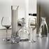 Lalique 100 Points glasses