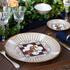 Haviland Cavalier Royal - Picture5
