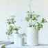 Bernardaud Legende vases - Picture5