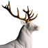 Lladró Skulptur Deer - Bild5