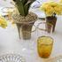 Pinto Chance glassware - Picture5