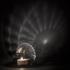 Baccarat Aura tea light holder - Picture5