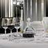 Lalique 100 Points glasses - Picture6