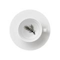 Hering Berlin Piqueur Kaffee-/Teetasse mit Unterteller, Motiv Zweig
