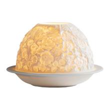 Bernardaud Lithophane Wild flowers